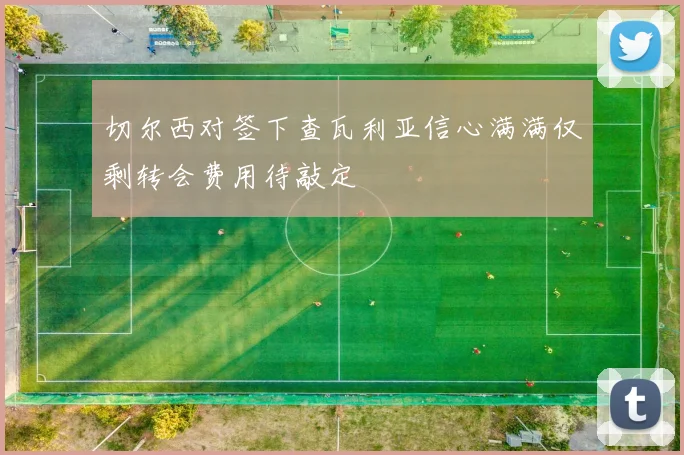 切尔西对签下查瓦利亚信心满满仅剩转会费用待敲定